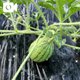 OUTDOORという……笑笑