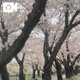 こんにちは😊
