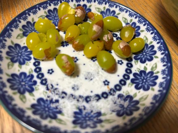 トトロに木ノ実もらった!!