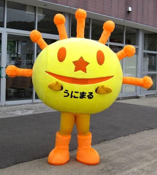 本日のお礼❣️