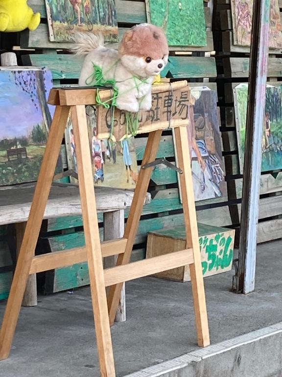 何縛りなん？