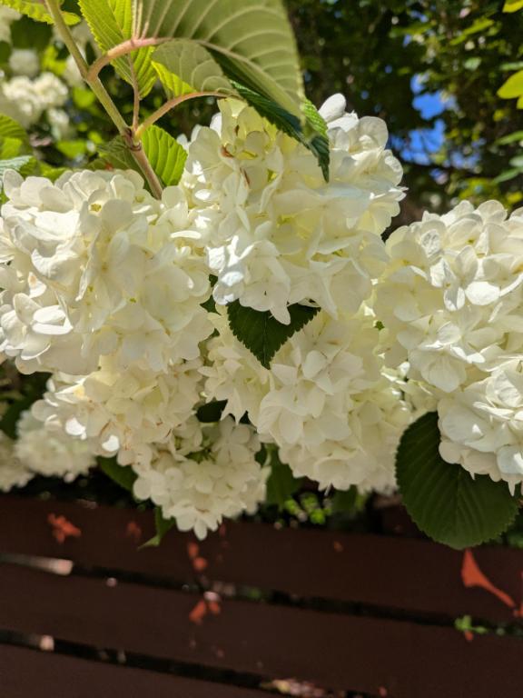 おつかれ様でした♡