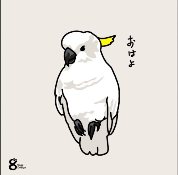 おはよっ☀️