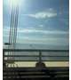 今日からお盆だね〜