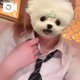 GWのお話🫶