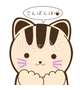 こんばんにゃ😽
