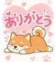 💌そういう優しさに弱いの🥹🤍