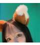 🦊