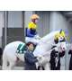 競馬