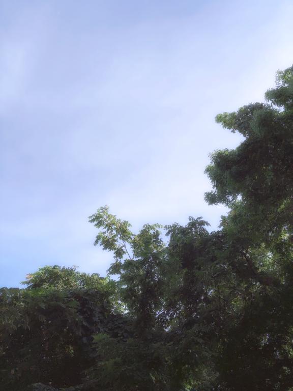 近所で