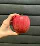 りんご🍎