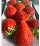 イチゴ🍓♡