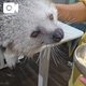 でっかい熊ちゃんみたいなやつ⭐