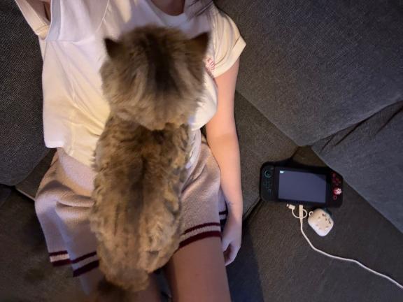 写メ日記サムネイル