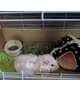 これから