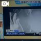 音楽🎧の日🎵2026