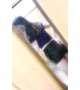 弱いﾄｺ❣️