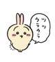 上がってます(  . .)"