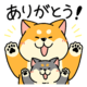 お礼🩷