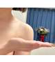 なんで手に乗ってるの？