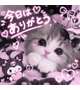 今日はありがとうございました❣️