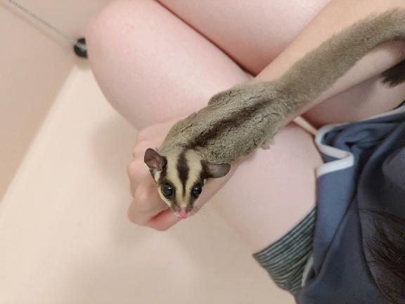 写メ日記サムネイル