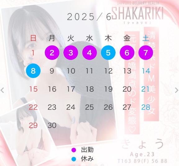 写メ日記サムネイル