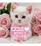 60分ご延長🌹クチコミ御礼🌹