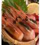 🦐