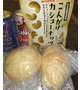 スタイリッシュのワンちゃん様…