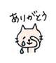 本日のお礼です✨