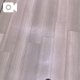 うろちょろ うろちょろ ( ~¯ ᵕ¯)~