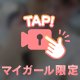 今後の予定