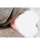 さむいっ