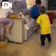 最近覚えたちいかわ達
