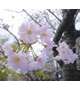 3月のお礼と4月スタート