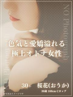 体験入店　桜花(おうか)