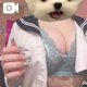 𝐈乳制服の破壊力💥