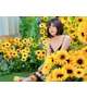 🌻息子さん安心してね🌻