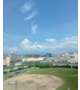 9月ですね…。