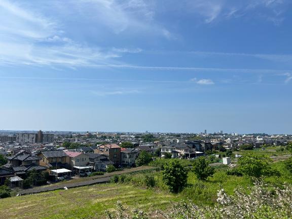 今日は、七夕ですね🎋✨️