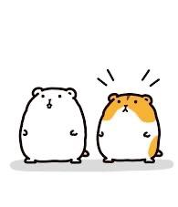 お礼💌