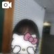 🐶こころ散歩🍀