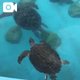毎日のお盆休み