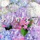 💌ブルーなギャンブラー様❤️