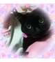甘えん坊さん