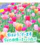 [お題]from:ポンタさん