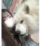 男と女の顔🐶