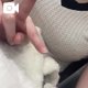 初めての電マ😖💕