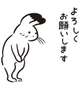 かりなですっ🫶🏿